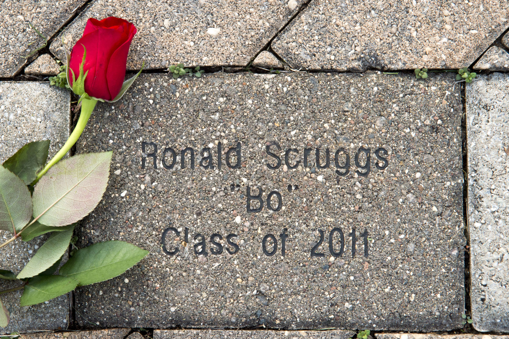 Memorial 11